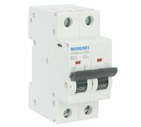Wengart Disjoncteur Bipolaire 2P - 25A - Courbe B (Haute Sensibilité) - AC 230V - Pouvoir de Coupure 10kA - Protection Optimale pour Lignes de Grande Longueur et Circuits Sensibles - WGM12-63H