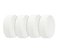 Wenko 50210100 recharge pour absorbeur d'humidité 250 g 9,1 x 9,3 x 14,2 cm 4 pièces G