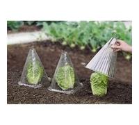 Wenko - 6 Housses pour plants Incolore G