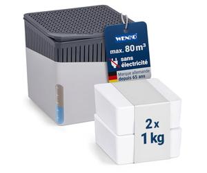 WENKO Déshumidificateur Cube 1000 g & Recharge, pour pièces Jusqu’à 80 m³, elimine l'humidité, Anti moississure, sans électricité, Silencieux, Rechargeable, Gris