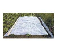 WERKA PRO Voile d'hivernage Blanc 30g/m2 2 x 10 m