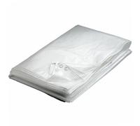 Werkapro Bâche transparente 160 g/m² anti-UV 4 x 6 m