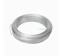 WERKA PRO Fil de Fer galvanisé Ø2,4mm 50 m