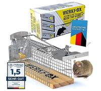 WERKFOX® Piège à Souris Vivant - Cage en Fil d'acier, Réutilisable | Sans poison, sans cruauté - capture humaine sur base en bois naturel - idéal maison, cave, garage