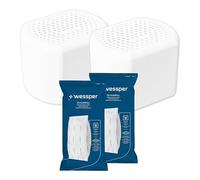 Wessper absorbeur d'humidité, lot de 2 deshumidificateur avec 2 recharge | desumificateur d humidité, réduit la moisissure et les odeurs, recharge absorbeur d'humidité, sans électricité