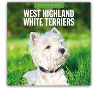 West Highland White Terriers 2027 Square Wall Calendar