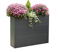 Westmann Métal Bac à plantes Talus XL Bac à plantes rectangulaire Anthracite 100x25x77cm