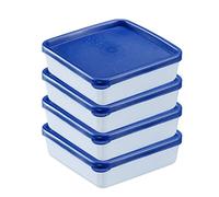 Westmark 4 Boîtes de Congélation/ Conservation, Couvercle Incl., Volume : 0,25 l chacune, Empilable, Plastique, Trio, Couleur: Transparent/Bleu, 25042270