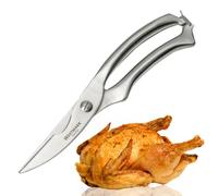 Westmark Set pour volaille en acier inoxydable - 1x ciseaux à volaille, 1x pinceau à rôtir - Parfait pour la gastronomie ou la maison (Moderne/ 2 pièces)