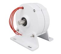 WGFOIP Générateur à Aimant Permanent Moteur Compact économe en énergie pour Usage Domestique avec Sortie 48 V Alliage D'aluminium 15 X 13,5 X 16,5 Cm (200W)