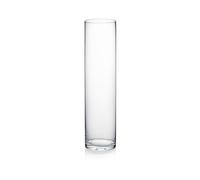 WGV Vase cylindrique, 10,6 x 40,6 cm (l x H), récipient Floral, Centre de Table en Verre pour fête de Mariage, événement, décoration de Bureau à Domicile, Transparent, 1 pièce