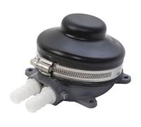 Whale Nuevo 2024 - Pump Babyfoot STD