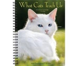 What Cats Teach Us 2023 Engagement Calendar by Willow Creek Press Willow Creek Press (Auteur)