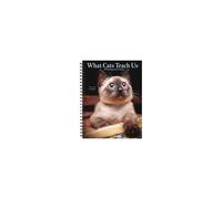 What Cats Teach Us 2026 Engagement Calendar