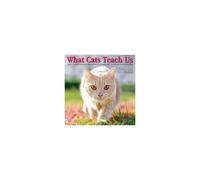 What Cats Teach Us 2026 Wall Calendar