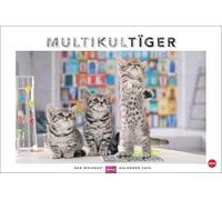 Whiskas Calendrier mural 2024 avec photos de chats mignons et histoires amusantes. Calendrier mural 2024 au beau design. Calendrier photo 2024. Format paysage 45 x 30 cm.