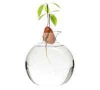 Whyzsjnclg Vase de démarrage de graines d'avocat, Vase d'avocat, démarreur graines en Verre Clair à Haute teneur en Borosilicate, hydroponique Rond réutilisable, Culture Universelle, hydroponique