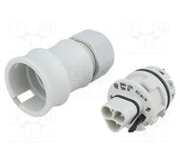 WIELAND 96.032.4053.0-RST20I3S-S1-ZR1-V-GL Connecteur