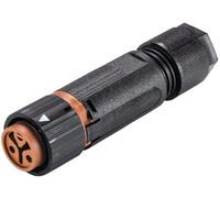 Wieland Electric 46.031.4551.4 Cosse cylindrique mâle femelle, droit Nombre total de pôles: 2 Série (connecteur rond): RST® MINI
