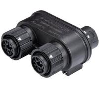 Wieland Electric 46.050.1253.1 Répartiteur pour connecteur rond Nombre total de pôles: 4 + PE Série (connecteur rond): RST® MINI 1 pc(s)