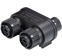 Distributeur Wieland RST16I5V 2P1 TGVG SW - Soldes% Divers