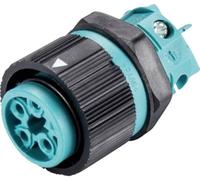 Wieland Electric 46.051.5053.6 Cosse cylindrique mâle embase femelle Nombre total de pôles: 4 + PE Série (connecteur rond): RST® MINI 1 pc(s)