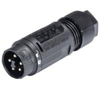 Wieland Electric 46.052.4553.1 Cosse cylindrique mâle mâle, droit Nombre total de pôles: 4 + PE Série (connecteur rond): RST®