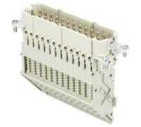 Wieland Electric 70.115.2453.3 Adaptateur-bornier Nombre total de pôles 24 10 pc(s)