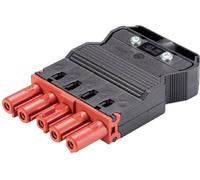 Wieland Electric 92.953.4553.5 Connecteur