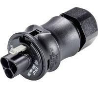 Wieland Electric 96.022.4153.1 Connecteur