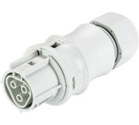 Wieland Electric 96.031.0153.0 Connecteur