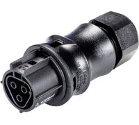 Wieland Electric 96.031.4053.1 Connecteur multicolore