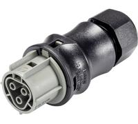 Wieland Electric 96.031.4154.3 Connecteur