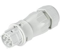 Wieland Electric 96.051.4553.0 Connecteur