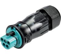 Wieland Electric 96.052.4553.6 Connecteur