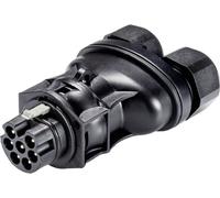 Wieland Electric 96.072.4253.1 Connecteur