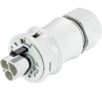Wieland Electric 96.132.0053.0 Connecteur
