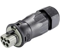 Wieland Electric 99.576.0000.7 Connecteur