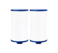 Wiffe Cartouche filtrante de Rechange pour et Spa, modèle 2402, Lot de 2 avec Corps plissé, Dessus fermé, connecteur inférieur fileté, Compatible avec PFF42TC-P4 303279