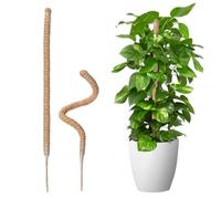 Wigearss 2 Pièces Tuteur Plante Grimpante en Coco sur Piquet 70cm, Support de Croissance de Plantes Grimpantes, Poteau Pliable en Coco de 5 mm de Largeur pour Jardin et Plantes Monstera