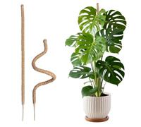 Wigearss 2 Pièces Tuteur Plante Intérieur, Tuteur Grimpant en Coco de 160 cm, Support Pliable en Coco de 7 mm de Largeur pour Plantes Grimpantes, Support pour Jardin Domestique, Plante Monstera