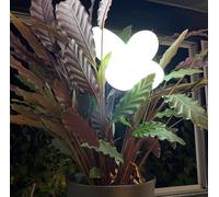 Wiings - lampe de table nomade forme papillon