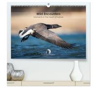 Wild encounters - Moments in the heart of nature (calendrier mural 2026 de qualité supérieure DIN A2 paysage) - Impression artistique brillante