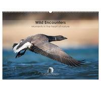 Wild encounters - Moments in the heart of nature (Wall Calendar 2027 DIN A2 landscape), CALVENDO 12 Month Wall Calendar: A captivating calendar that ... unforgettable moments in the heart of nature.