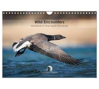 Wild encounters - Moments in the heart of nature (Wall Calendar 2027 DIN A4 landscape), CALVENDO 12 Month Wall Calendar: A captivating calendar that ... unforgettable moments in the heart of nature.