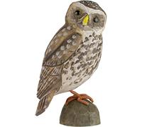 WILDLIFE GARDEN - Décobird Chouette chevêche