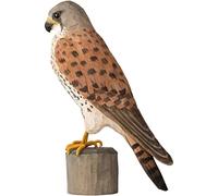 WILDLIFE GARDEN - Decobird Faucon crécerelle