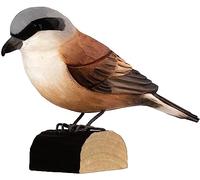 WILDLIFE GARDEN WILDLIFEGARDEN WG4447 DecoBird - Oiseaux décoratifs en Bois sculptés à la Main - Oiseaux européens de Taille Moyenne