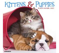 Willow Creek Press, Calendrier mural 2027 Chatons et chiots