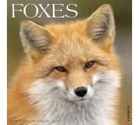 Willow Creek Press, Foxes Calendrier mural 2027